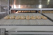 Professional ovens for bread